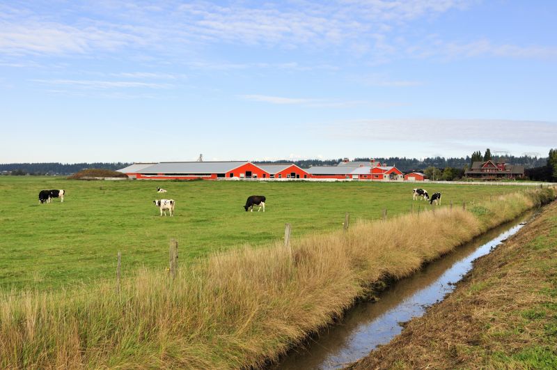 Barn Drainage Installation
