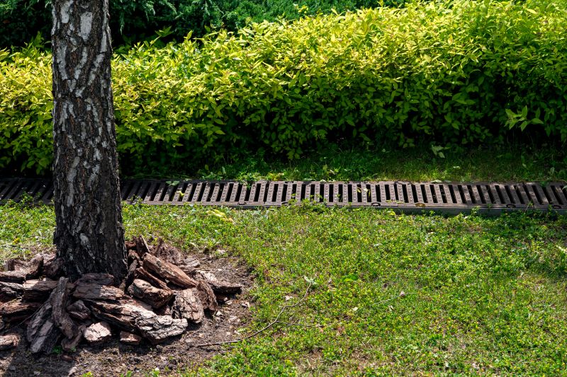 Drainage Swale Installation