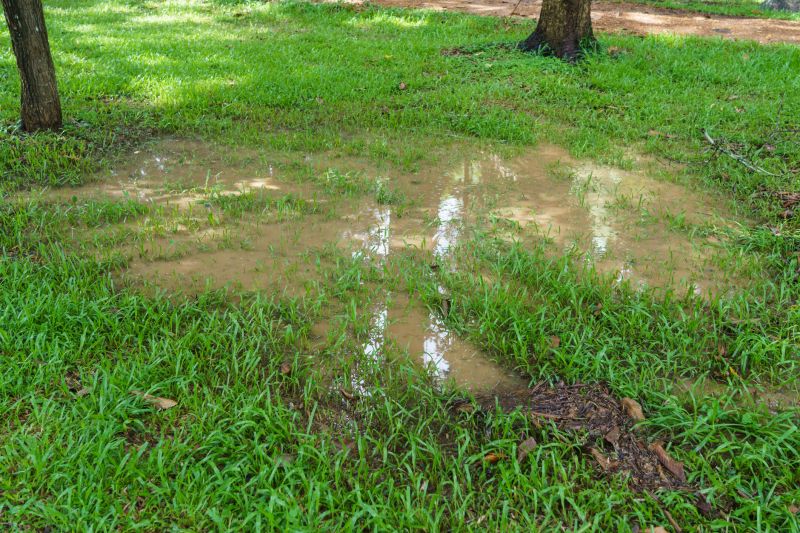 Landscape Drainage Repair