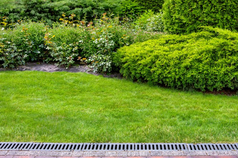 Landscape Drainage Repair