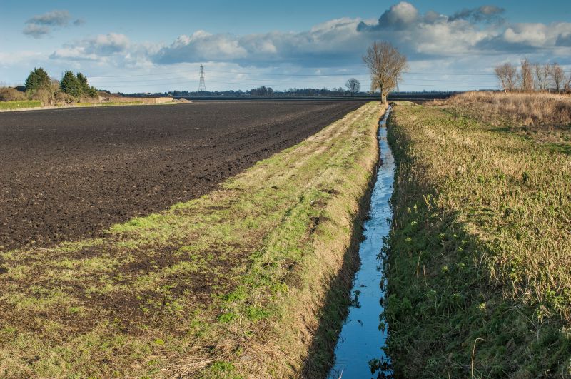 The Difference Professional Drainage Makes