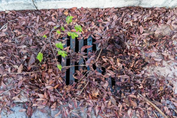 Cost of Yard Drain Unclogging in Hendersonville