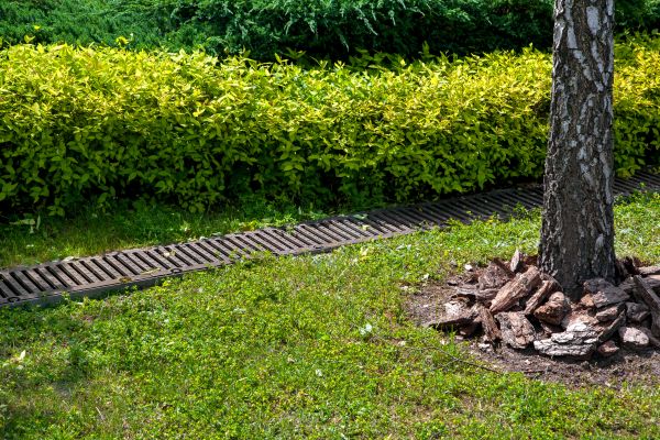 Cost of Residential Landscape Drainage in Hendersonville
